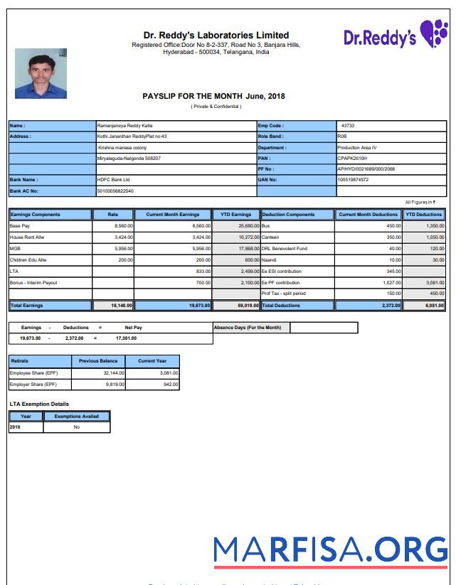 Realistic Laboratory payslip real example
